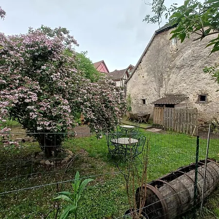 Grange Renovee Dans Cour Privee Avec Jardin Daire Bergheim